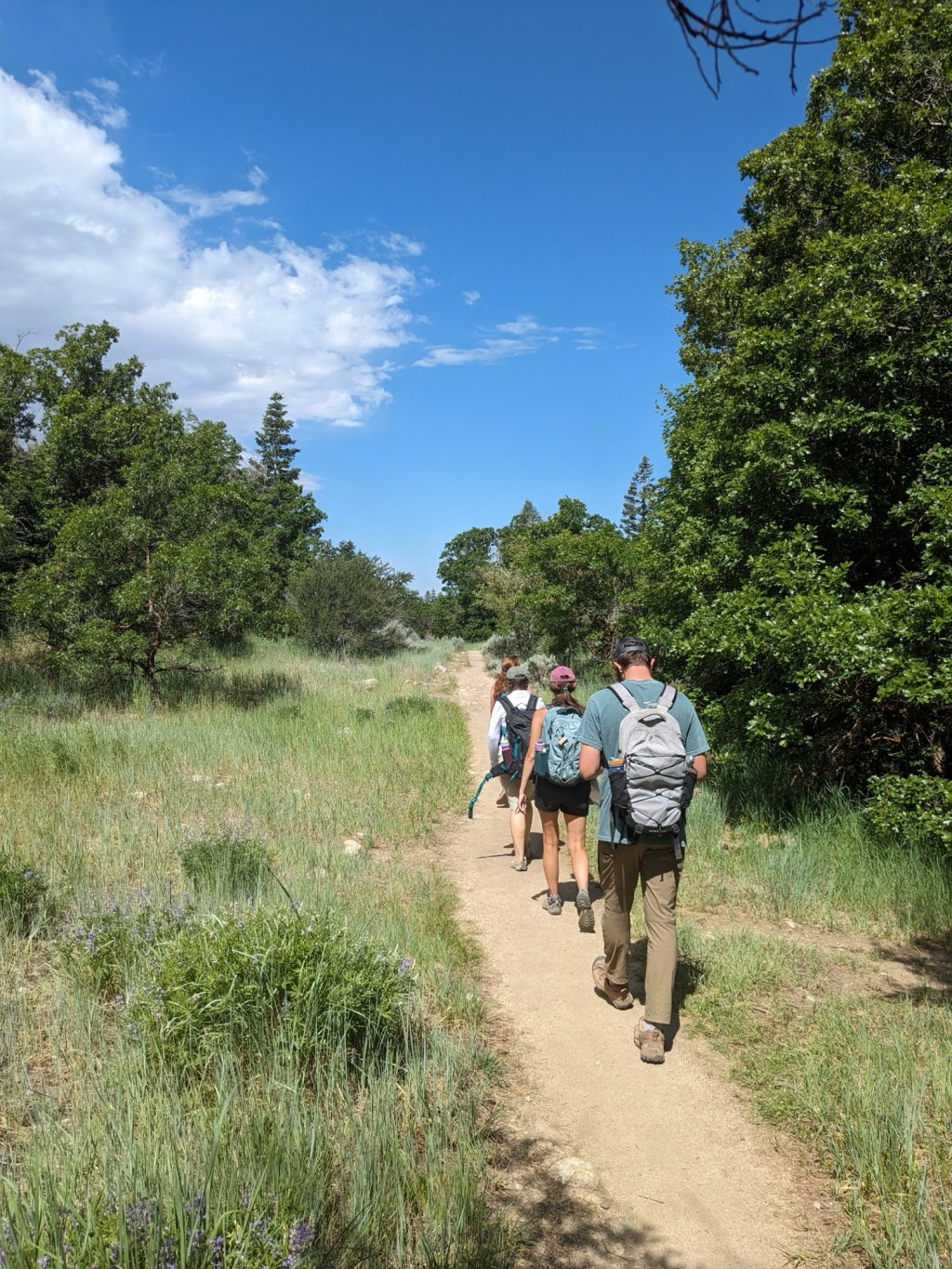 field camp week 5 – wasatch&nbsp;front